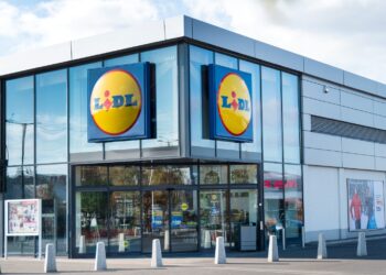 LIDL arrasa en ventas con este accesorio indispensable para el coche: está en oferta