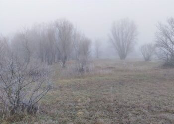 AEMET Tiempo heladas