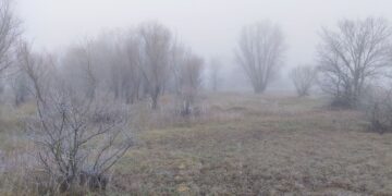AEMET Tiempo heladas
