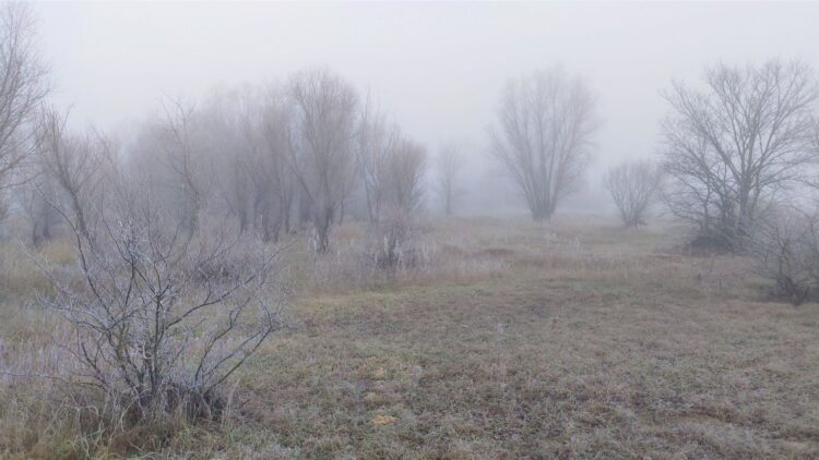 Temperaturas a menos de 0 grados: la AEMET confirma las ciudades de España en las que helará los próximos días 1 AEMET Tiempo heladas