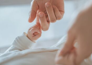 Ayudas familias Madrid