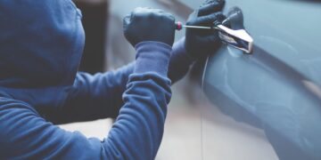 método de la siembra robar coche