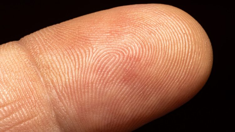 Tener las mismas huellas dactilares es posible: el último descubrimiento de la ciencia 1 Tener las mismas huellas dactilares es posible