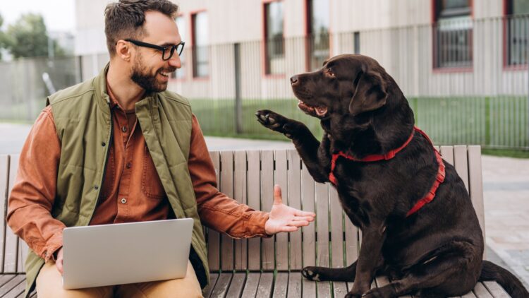 Buenas noticias para los que tienen mascotas