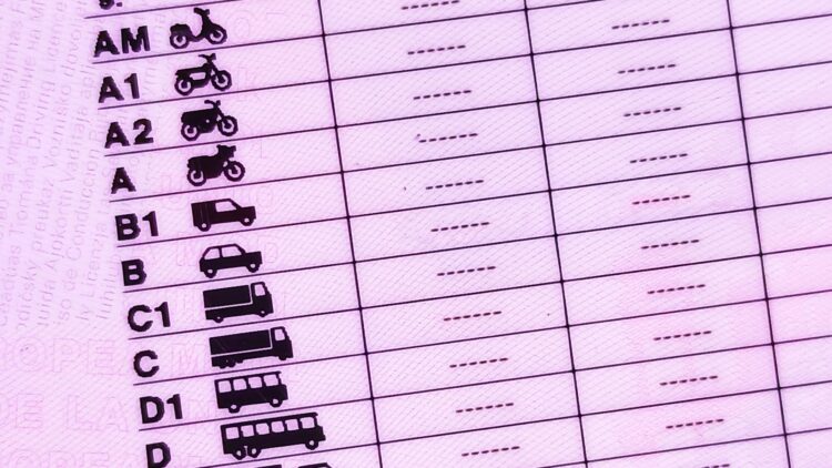 Regalazo de la DGT: te darán dos puntos más en el carnet de conducir y solo tendrás que hacer esto 1 Te daran dos puntos mas en el carnet de conducir