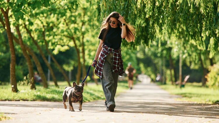 Ten mucho cuidado si paseas a tu perro y ves esto