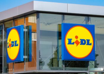 Vuelve al catálogo de Lidl el producto más buscado del verano