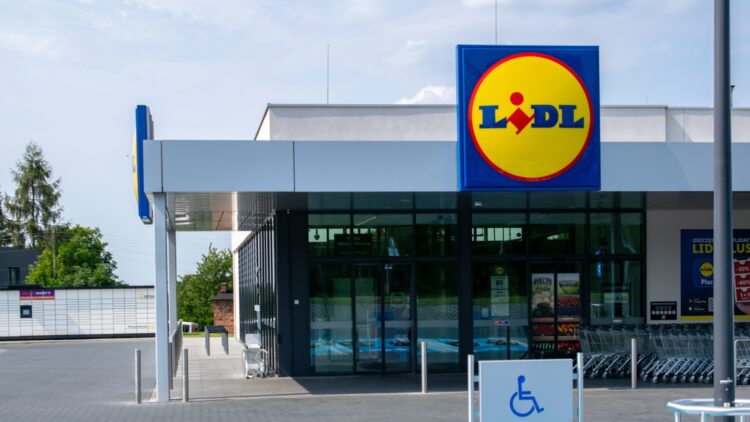 Lidl acaba con los mosquitos: esta es la solución sin químicos que no te puede faltar para el buen tiempo 1 Lidl acaba con los mosquitos: esta es la solución sin químicos