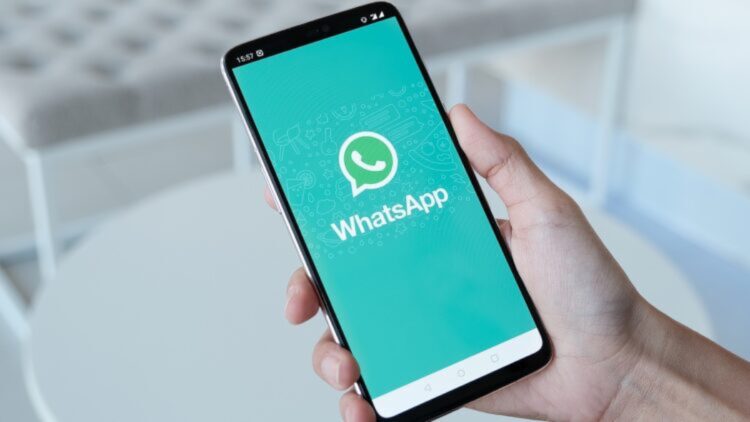 Ni stickers ni emojis: una empresa agrega a una empleada a un grupo de WhatsApp... y el caso acaba en multón 1 Una empresa agrega a una empleada a un grupo de WhatsApp