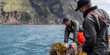 Este manjar español se ha convertido en una plaga en el Reino Unido