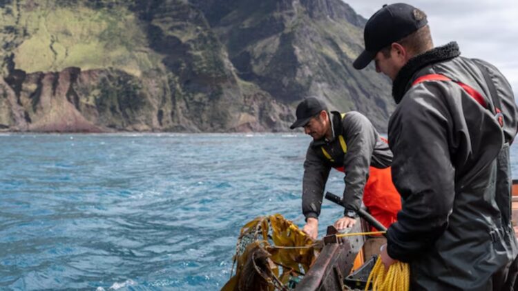 Este manjar español se ha convertido en una plaga en el Reino Unido
