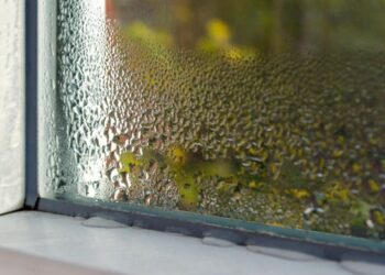 Adiós a la humedad: este truco te permitirá acabar