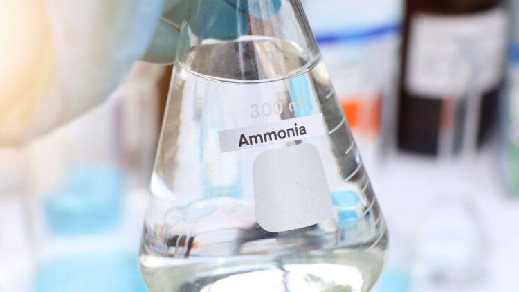 Neither solar nor wind - the combination of hydrogen and nitrogen could be the ultimate energy source 1 Neither solar nor wind - the combination of hydrogen and nitrogen could be the ultimate energy source