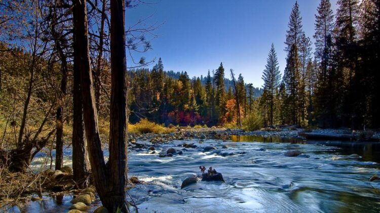 No GPS, no reception - a mother and her son get lost in a California forest and their story of survival thrills everyone 1 No GPS, no reception - a mother and her son get lost in a California forest and their story of survival thrills everyone