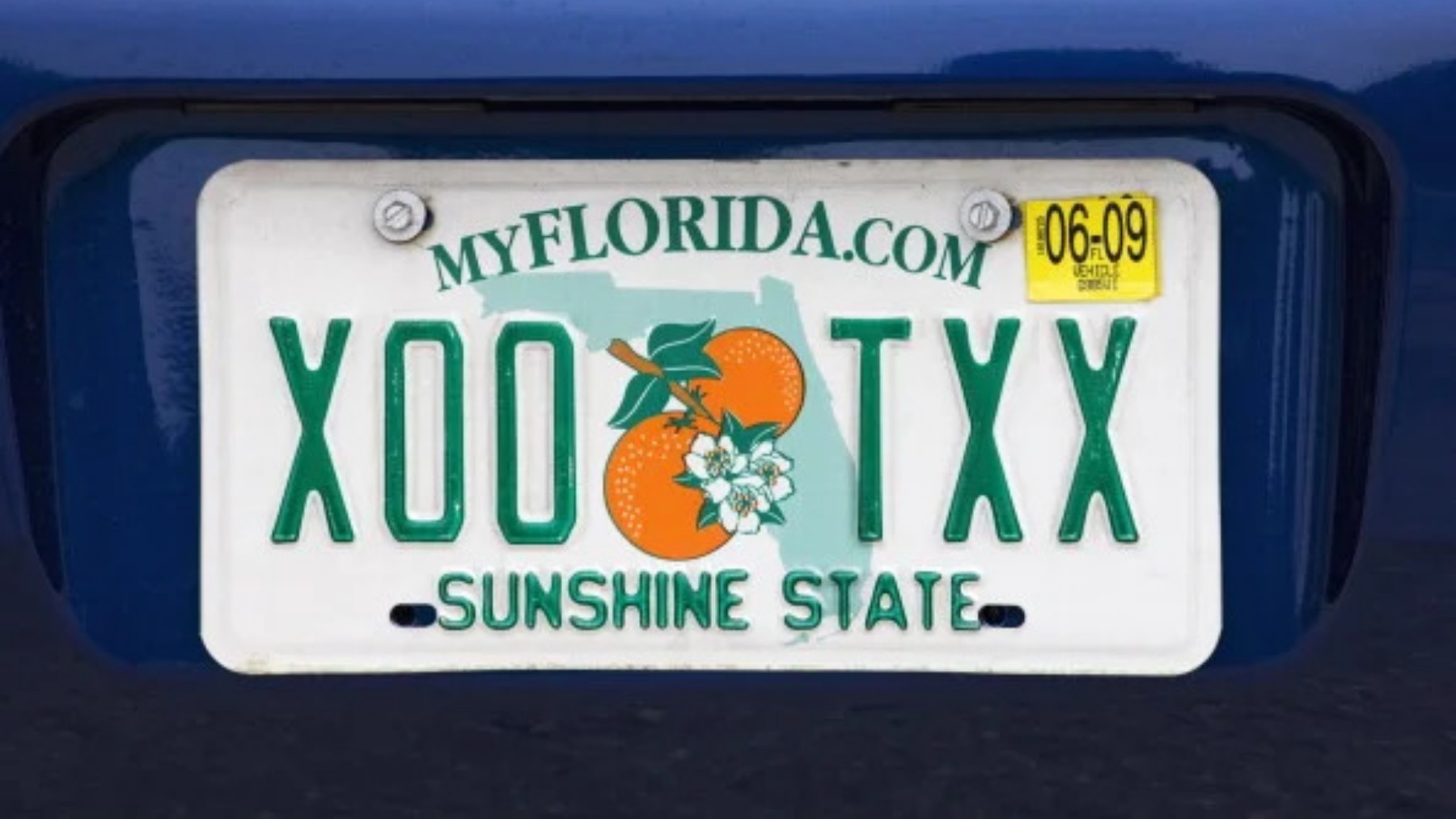 No mail, no office - this is how you can renew your Florida license plate in less than 5 minutes online and without waiting in line