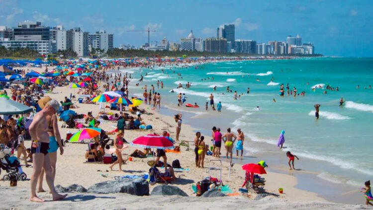 It's official - Miami Beach could allow alcohol sales on the beach, completely changing the tourist experience