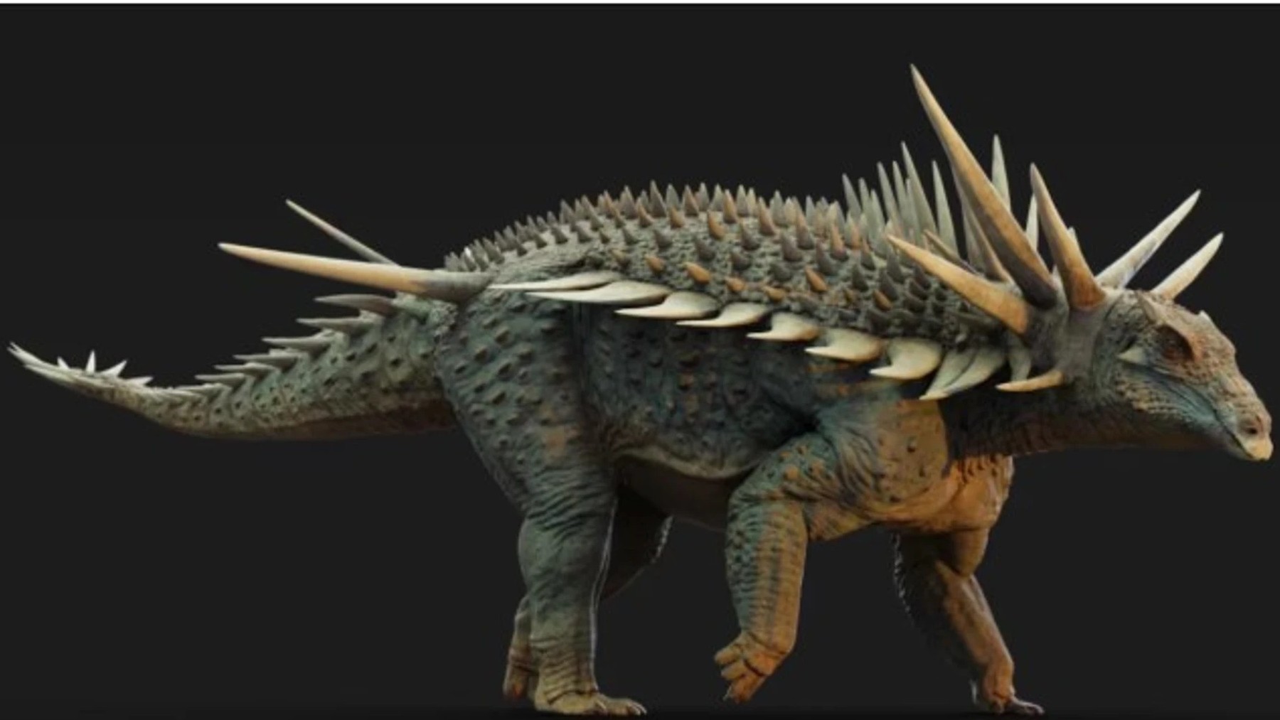 An armored dinosaur with giant spines fused to its bones has been found in Morocco—Spicomellus afer breaks all scientific conventions and leaves paleontologists speechless