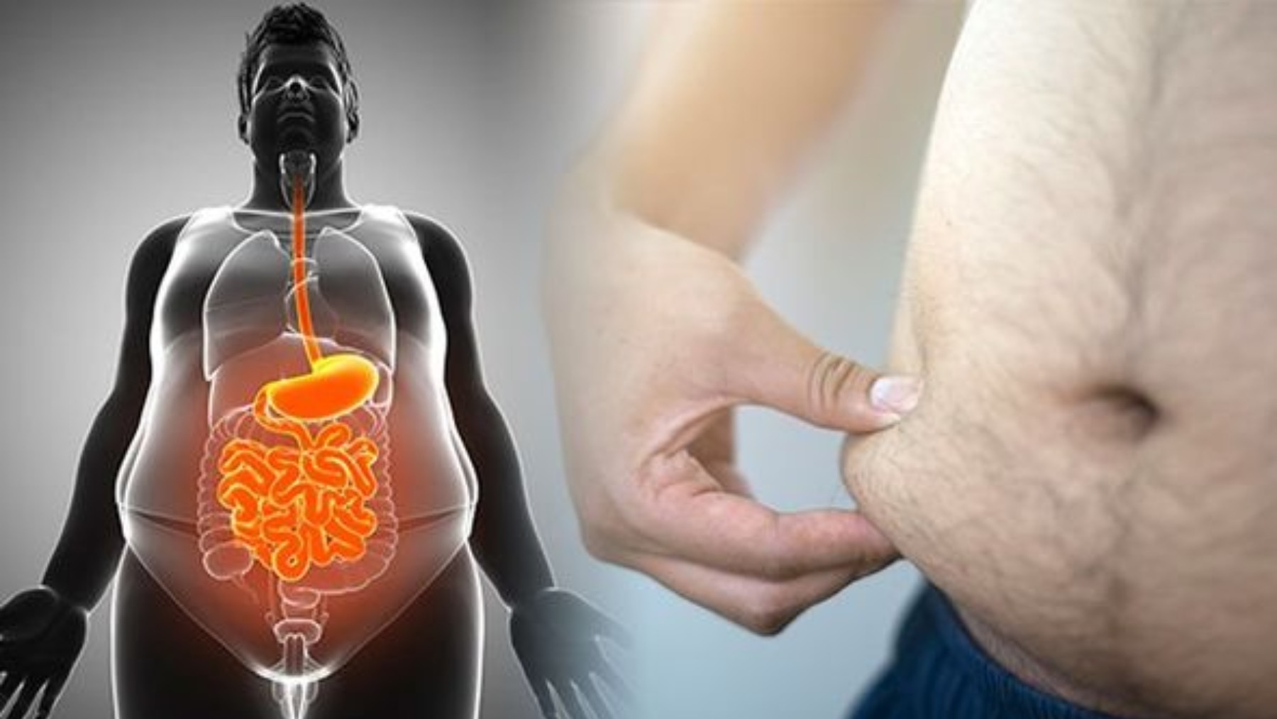 Goodbye to the most dangerous fat in the body—science confirms how to eliminate visceral fat without surgery and improve your quality of life