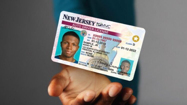 Confirmed—the future of licensing is here, and Georgia is leading the way with half a million residents using their digital ID at TSA airports 1 Confirmed—the future of licensing is here, and Georgia is leading the way with half a million residents using their digital ID at TSA airports