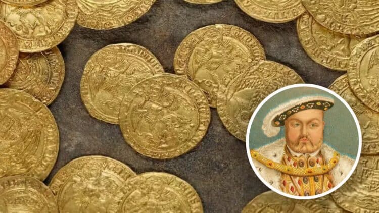 The discovery no one expected—a British family uncovers a Tudor treasure buried in their garden since the time of Henry VIII 1 The discovery no one expected—a British family uncovers a Tudor treasure buried in their garden since the time of Henry VIII