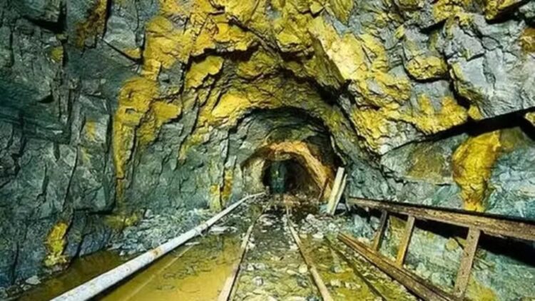 China's new “El Dorado”—that's the gigantic gold deposit discovered beneath the Wangu field