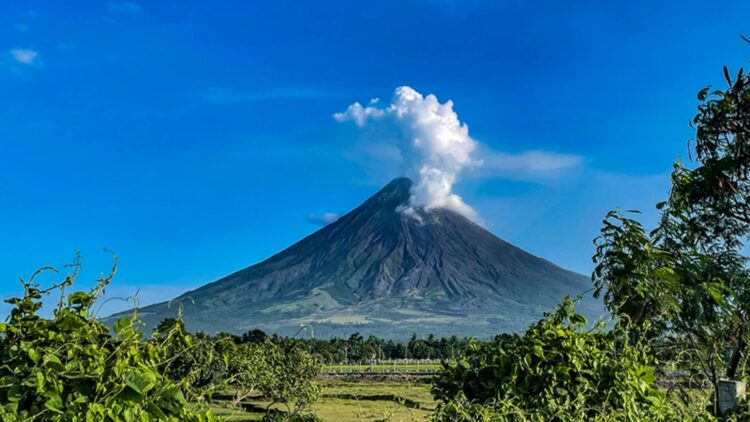 It's official—NASA discovers that trees change color before a volcanic eruption and could save thousands of lives