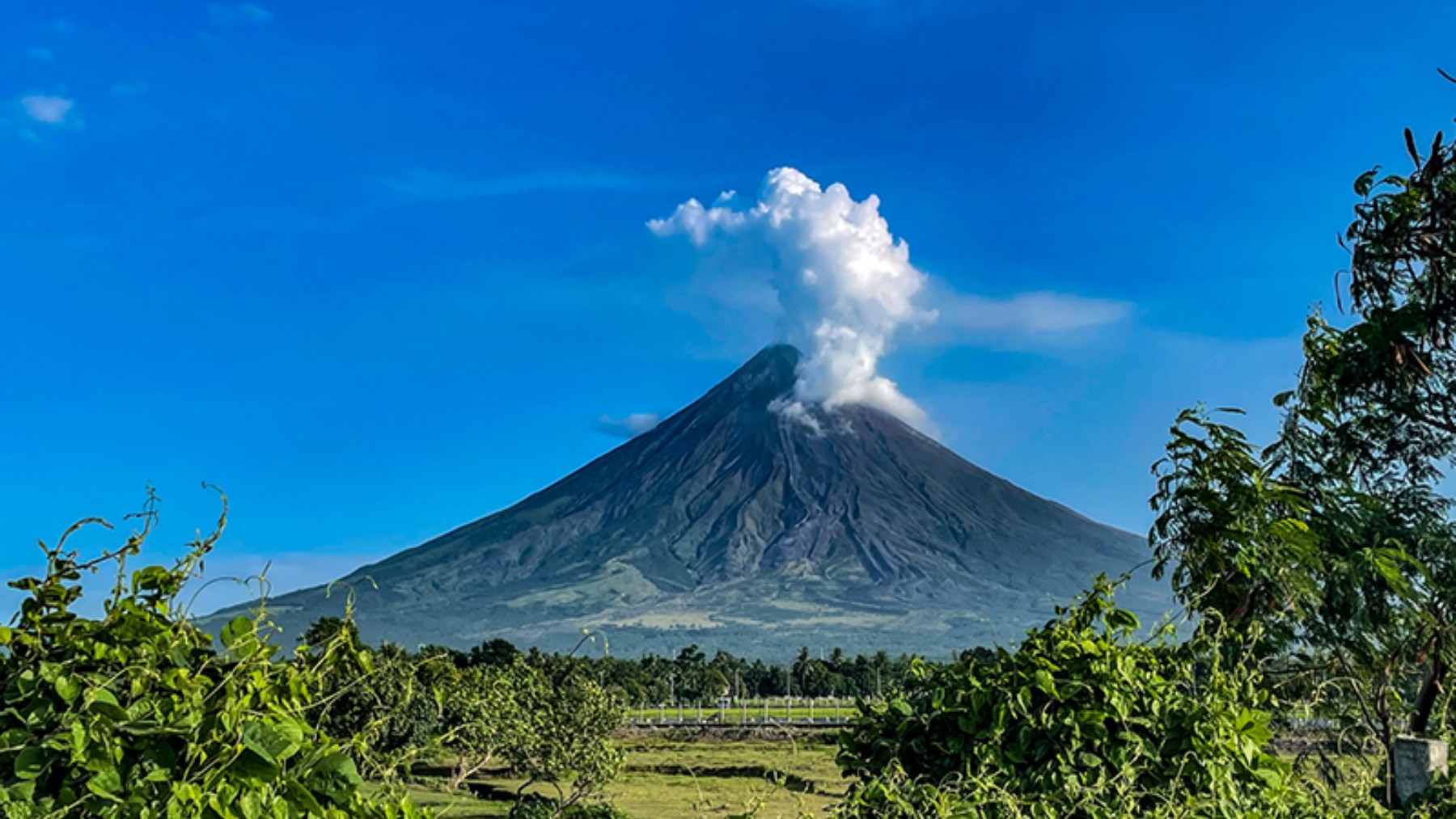 It's official—NASA discovers that trees change color before a volcanic eruption and could save thousands of lives