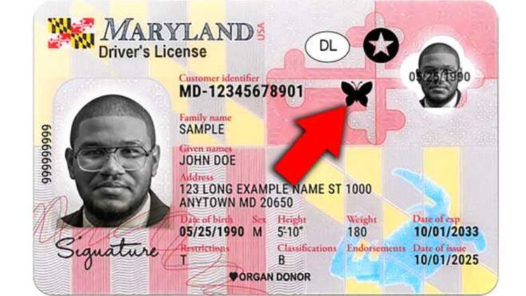 The butterfly symbol that will save lives—Maryland launches a new license for people with invisible disabilities 1 The butterfly symbol that will save lives—Maryland launches a new license for people with invisible disabilities