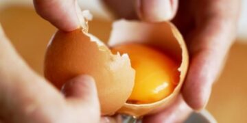A study confirmed it—eggs went from being criticized for their cholesterol content to becoming a superfood packed with protein, vitamins, and essential minerals