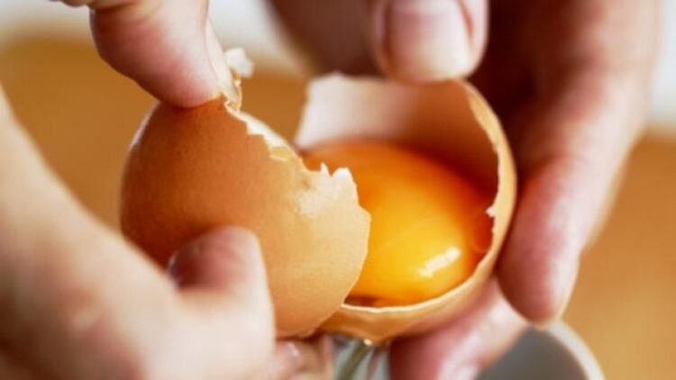 A study confirmed it—eggs went from being criticized for their cholesterol content to becoming a superfood packed with protein, vitamins, and essential minerals 1 A study confirmed it—eggs went from being criticized for their cholesterol content to becoming a superfood packed with protein, vitamins, and essential minerals