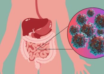 Neither a mild cold nor the common flu—norovirus is back with a vengeance, triggering outbreaks across the country