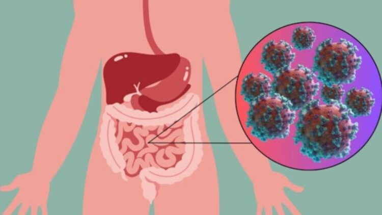 Neither a mild cold nor the common flu—norovirus is back with a vengeance, triggering outbreaks across the country
