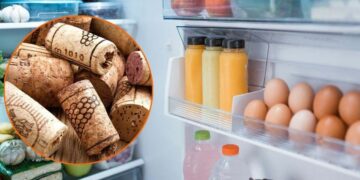 Here's a simple trick using cork that reduces your refrigerator's energy consumption and preserves food better