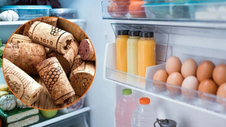 Here's a simple trick using cork that reduces your refrigerator's energy consumption and preserves food better 1 Here's a simple trick using cork that reduces your refrigerator's energy consumption and preserves food better