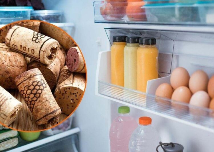 Here's a simple trick using cork that reduces your refrigerator's energy consumption and preserves food better