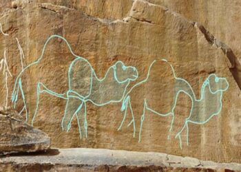 Confirmed by scientists—the first desert artists left camel carvings 12,000 years ago on the cliffs of the Nefud Desert