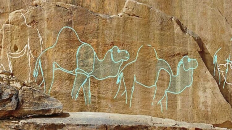 Confirmed by scientists—the first desert artists left camel carvings 12,000 years ago on the cliffs of the Nefud Desert 1 Confirmed by scientists—the first desert artists left camel carvings 12,000 years ago on the cliffs of the Nefud Desert