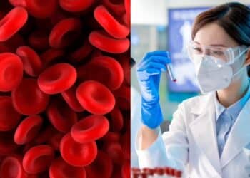 It's official—researchers in the United Kingdom and Israel confirm the new blood type “MAL,” absent in 99.9% of the population