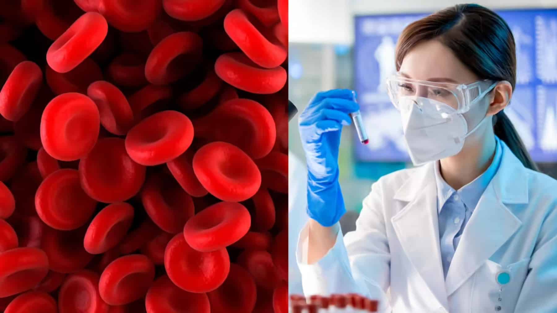 It's official—researchers in the United Kingdom and Israel confirm the new blood type “MAL,” absent in 99.9% of the population
