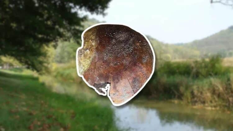 Confirmed—human remains found in an Indiana river are over 4,000 years old and baffle scientists 1 Confirmed—human remains found in an Indiana river are over 4,000 years old and baffle scientists