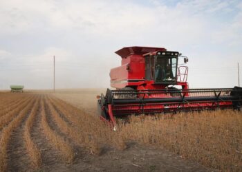 The U.S. announces a $12 billion farm assistance package — how the new aid could affect food prices and rural families 4 The U.S. announces a $12 billion farm assistance package — how the new aid could affect food prices and rural families