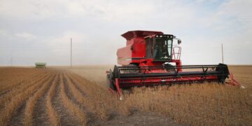 The U.S. announces a $12 billion farm assistance package — how the new aid could affect food prices and rural families 6 The U.S. announces a $12 billion farm assistance package — how the new aid could affect food prices and rural families