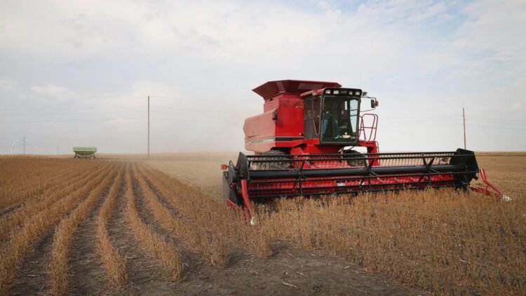 The U.S. announces a $12 billion farm assistance package — how the new aid could affect food prices and rural families 1 The U.S. announces a $12 billion farm assistance package — how the new aid could affect food prices and rural families