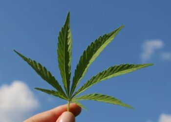 Goodbye to the free sale of intoxicating hemp in the US—giants such as Coca-Cola, Nestlé, and General Mills are asking Congress to pass a law banning these products 3 Goodbye to the free sale of intoxicating hemp in the US—giants such as Coca-Cola, Nestlé, and General Mills are asking Congress to pass a law banning these products