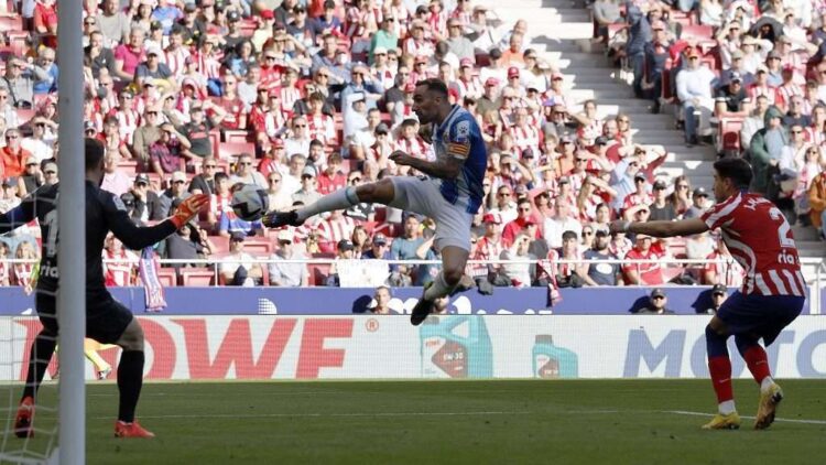 sergi darder la grada