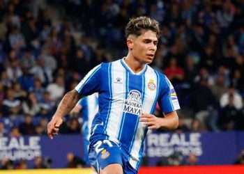 nico melamed representantes