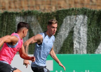 pol lozano espanyol renovacion